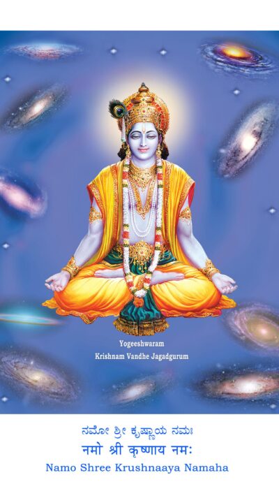07 KRISHNA