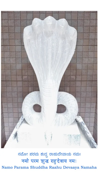 20 Rahu white